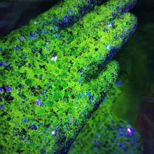 ҹ��ۏS�ҹ���ҹ����Ƭ�LЧҹ���ˮ��ҹ���0.1mm