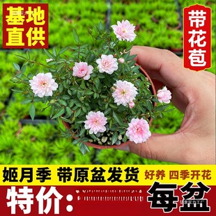 ���l����Ů��õ���辰���Ի����ձ��ļ��_���¼�����΢���Nޱ
