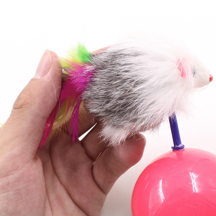 Toy