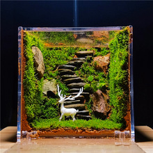 ̦�\΢���^ �����ٲ����`���焓�����B������ֲ��diy�����r��Gֲ