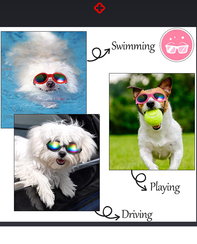 宠物墨镜