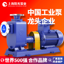 CYZ-A型自吸式卧式自吸泵自吸油泵 自吸泵报价自吸泵厂家 定金