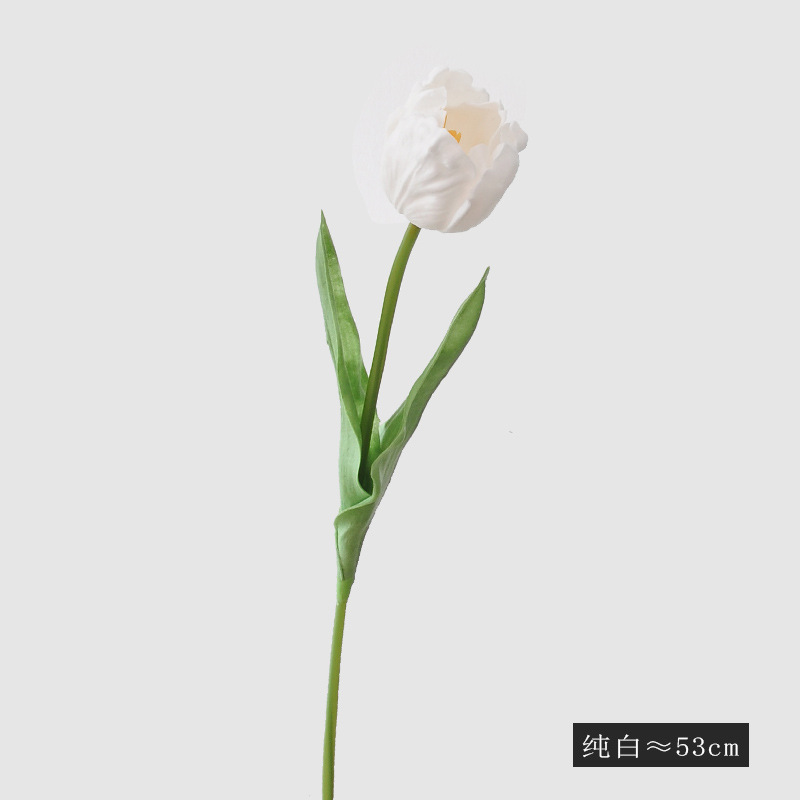 순수한 흰색