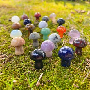��Ȼʯˮ����觰댚ʯ2CM����СĢ�� �����~���b��쾰 DIYС���