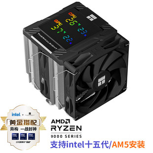 ����Peerless Assassin 120 Digital  BLACK ���@�� �����ɢ����