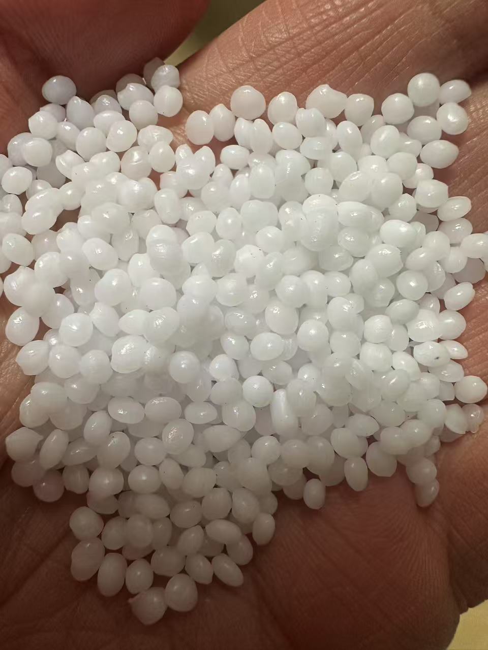 微信图片_20250308102659