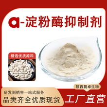 α-淀粉酶抑制剂　碳水阻断活性20000u/g 白芸豆提取物