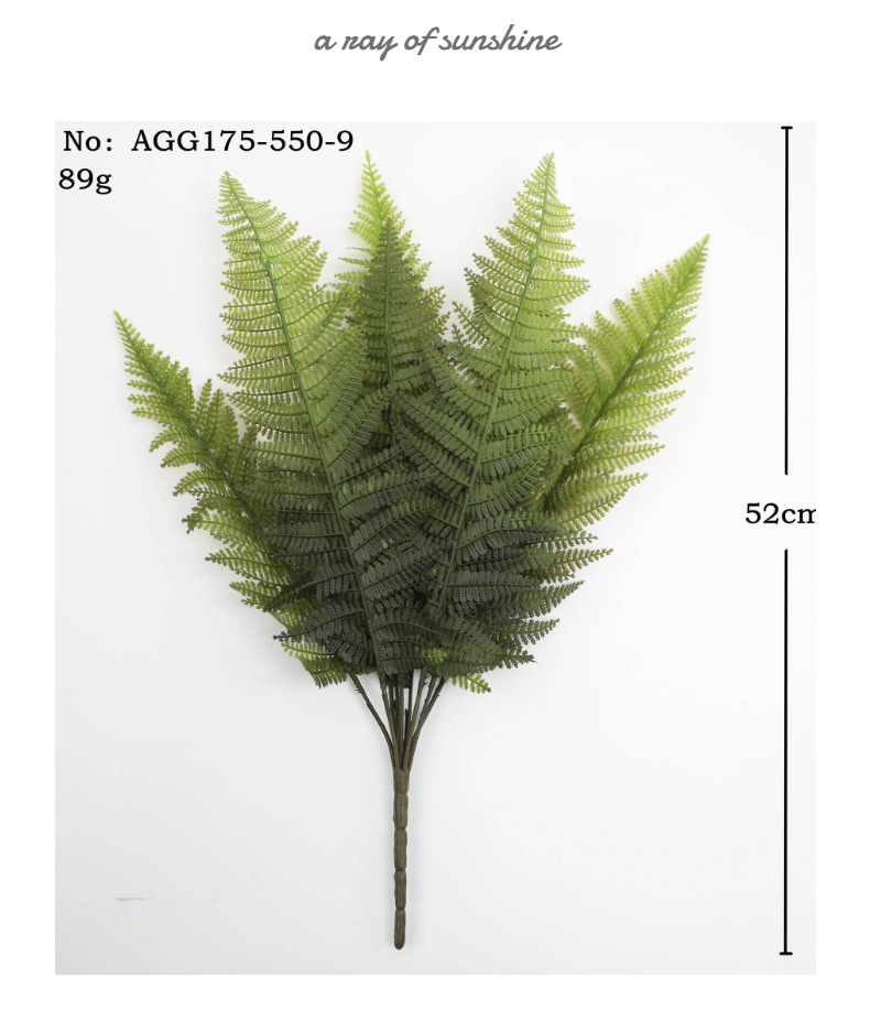 模特展示3 (4).jpg