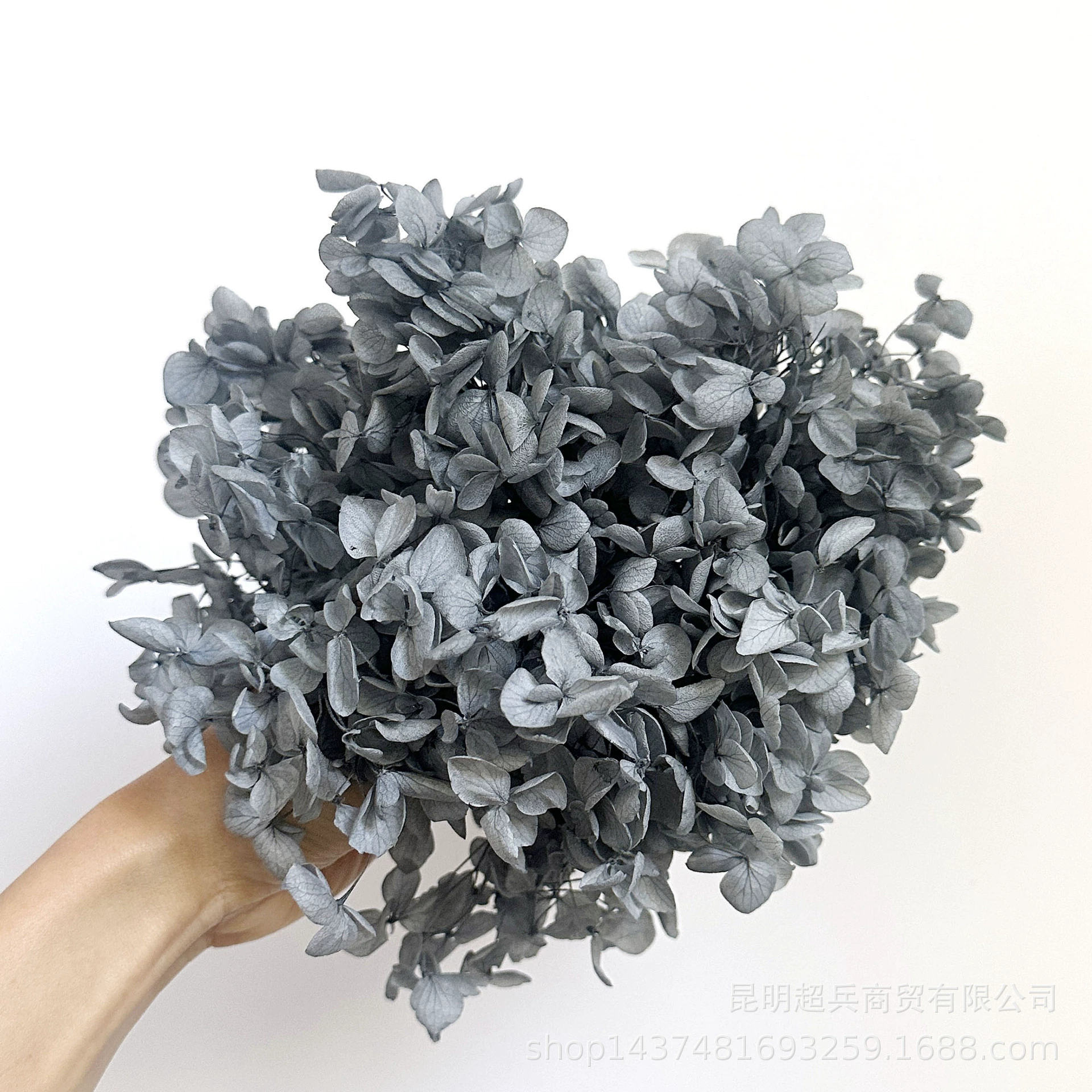 [Вечная Life Flower Hydrangea] Анна Градиентный цвет Лист Hydramid Книга цветов оптом DIY цветочная коробка материал для просмотра