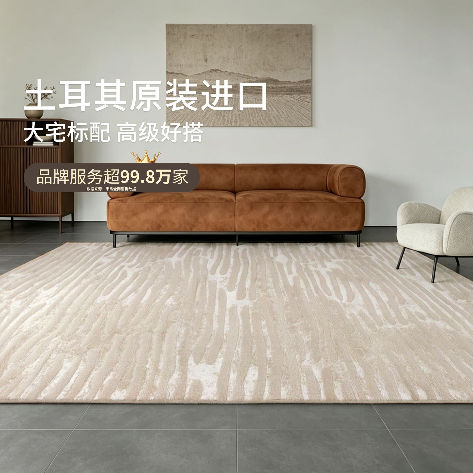 Import minimalistic waterproof modern carpet for living room