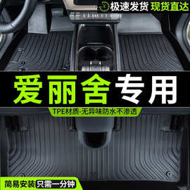 东风雪铁龙全新爱丽舍车新款专用汽车脚垫全包围老tpe 老款新全包