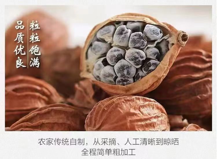 Xiang Sha Ren Fragrant Amomum 500g Sichuan Dried Culinary Herb for Braising Stews and Marinades key features