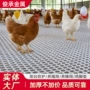 防卡漏粪养殖塑料鸭舍