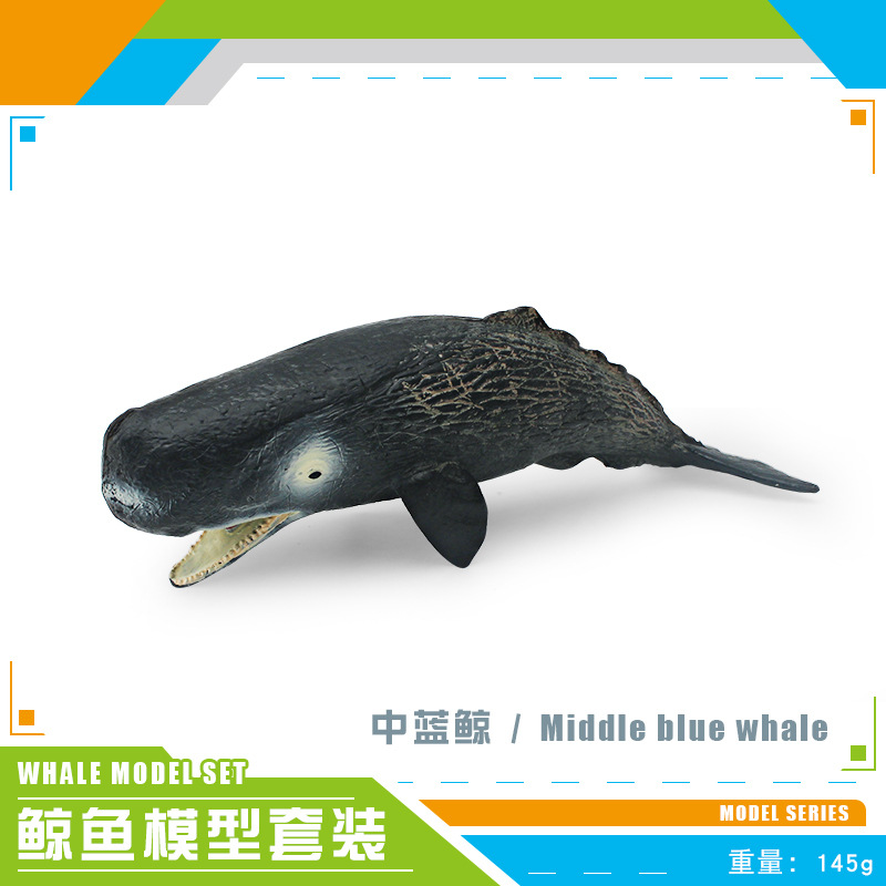 Simulación transfronteriza animal marino modelo de ballena Cognición de los niños criatura submarina cachalote Ballena Azul adornos estáticos