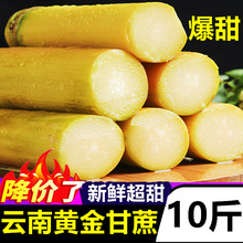 زʻƽ10ӦˮȴˮƤ