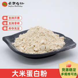大米蛋白粉植物蛋白粉原料食品级荣甄生物量大从优另有大米低聚肽