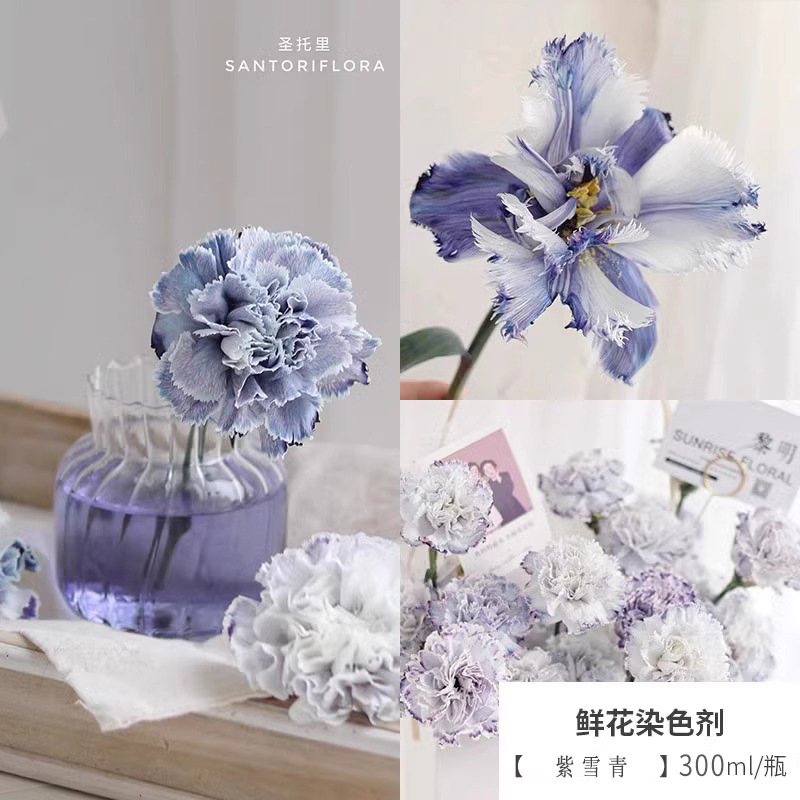 Material de embalaje de flores frescas Agente de tinción en aerosol de flores secas Salsa de ciruela negra Pintura en aerosol de flores Pintura en aerosol de flores Agente de color de flores