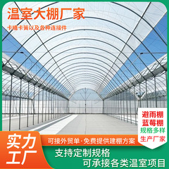 雨よけ棚果樹日光棚農芸栽培棚養殖棚イチゴブルーベリー棚連体棚