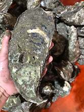 տ�����V�|����ĵϠ���r�ʟ���������ʳ��ˮ�a��Ϡ���r��