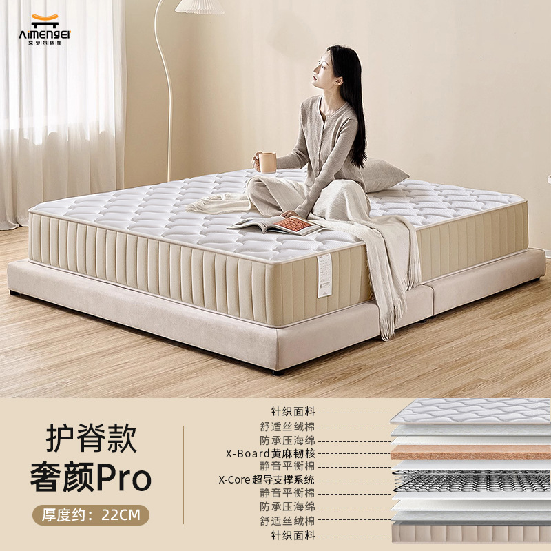 Luxurious and economical spine protection model for guest rooms [22cm]