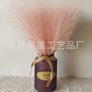 �W�t�JȔ�����W�L��������˹�ݻ��ٻ������ë�羳��E18