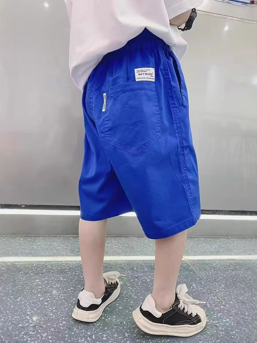 2025 Boys Shorts New Summer Children's Summer Wear Big Boys Casual Pants Thin Trendy Pants