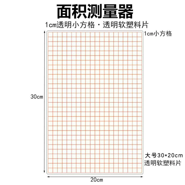 [【5张】20_30cm面积测量器]