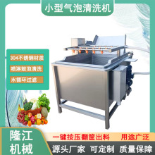 辣椒气泡清洗机 中药材自动喷淋清洗设备 多功能净菜清洗设备小型