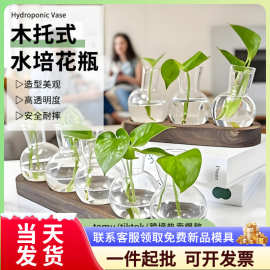 圆形灯泡塑料花瓶水培绿植办公室客厅装饰木底座透明植物花盆摆件