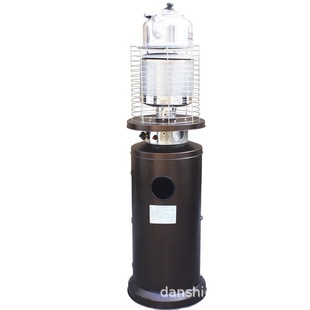 Outdoor natural gas liquefied gas heater household indoor outdoor energy-saving water boiler