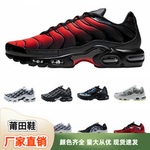 ����Ь�羳 MaxTN��|ЬŮ��ʽ�\�ӆ�Ь�p���ܲ�Ь�������e����Ь