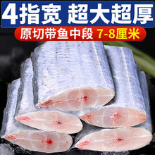 P缤鲜四指宽带鱼段特大号无冰中段新鲜冷冻东海带鱼刀鱼段批发