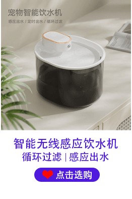 详情33_02