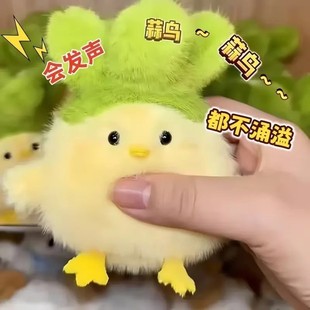 ��Ʒ�l���B��h�Ą���ż�o��Ʒ�����Ą���ƽ�Bë�q��߹��В��