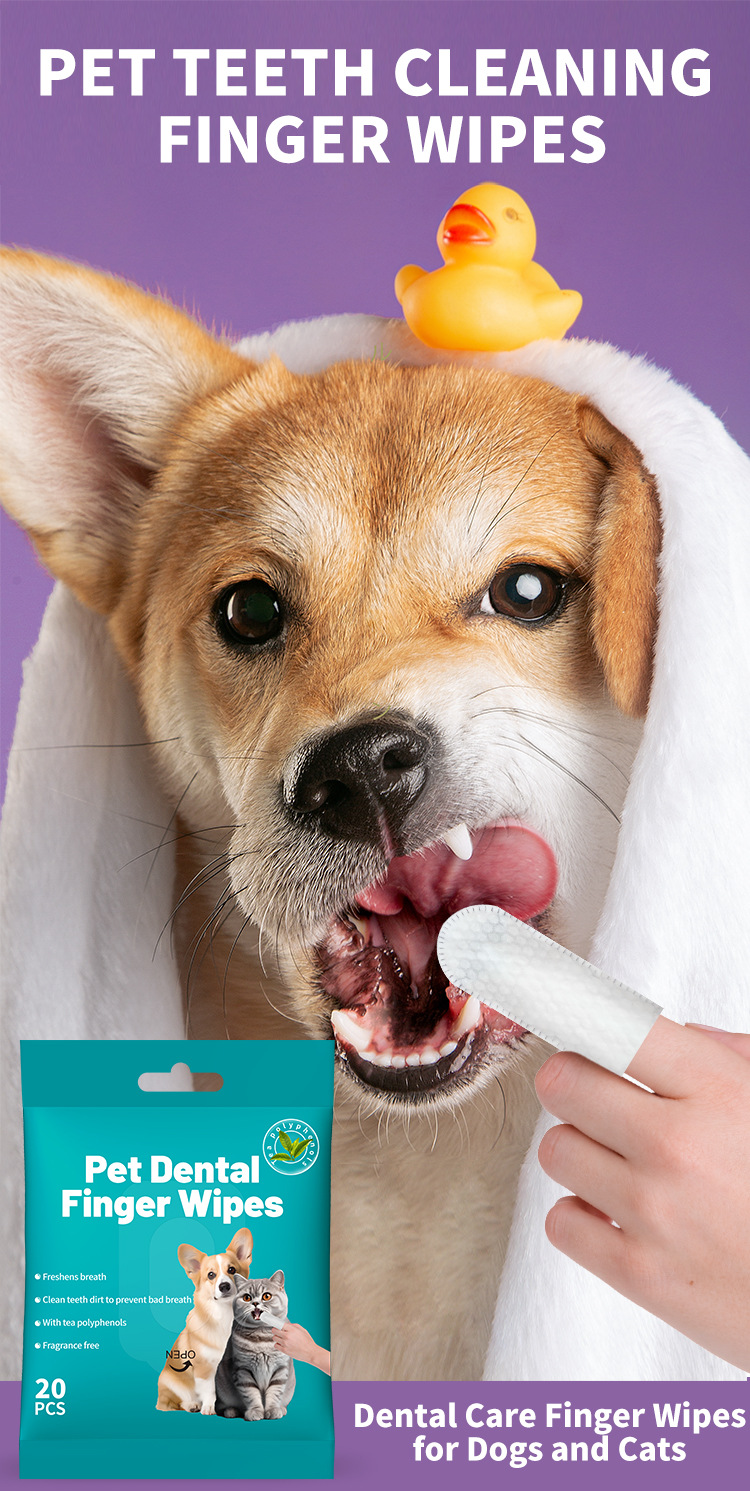 Dış ticaret sınır ötesi evcil hayvan diş temizleme mendilleri parmak karyolası tek kullanımlık parmak diş fırçası köpek ve kedi ağız temizleme evcil hayvan malzemeleri