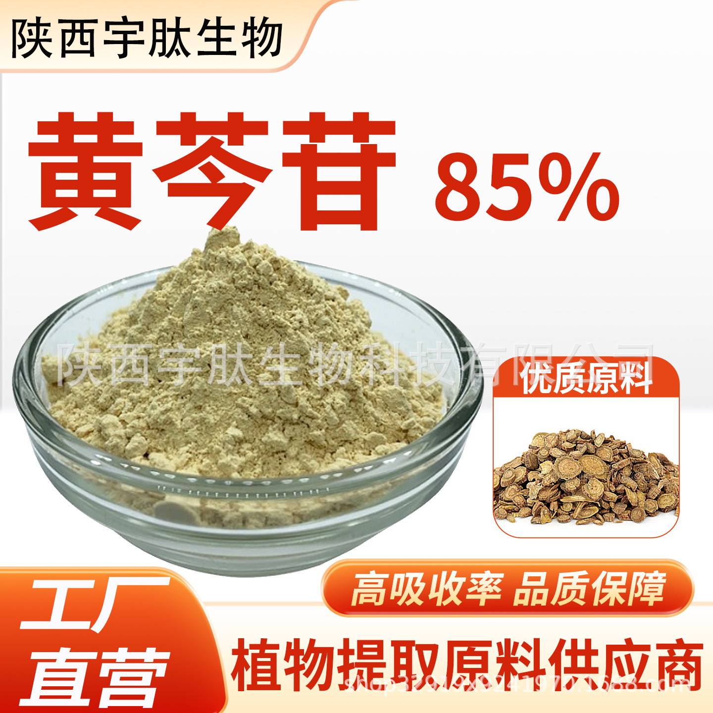 黄芩苷85% 黄芩提取物高含量黄芩浓缩精华粉食品级原料 厂家直发