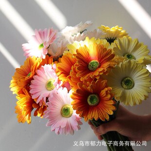 �羳���l���޾շ��滨�߼��б���Ҿӿ͏d���һ�ƿ�廨�ٻ����컨