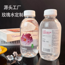 ��Ȫõ��ˮֲ���õ�廨ֲ����ȡ��ϕ��h��ˮ���l���ˮ�Ӵ�