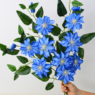 4�^�ʺ��ذ��F��ɏ ���滨 ��c��Y���bٻ� ���lܛ�b�b�