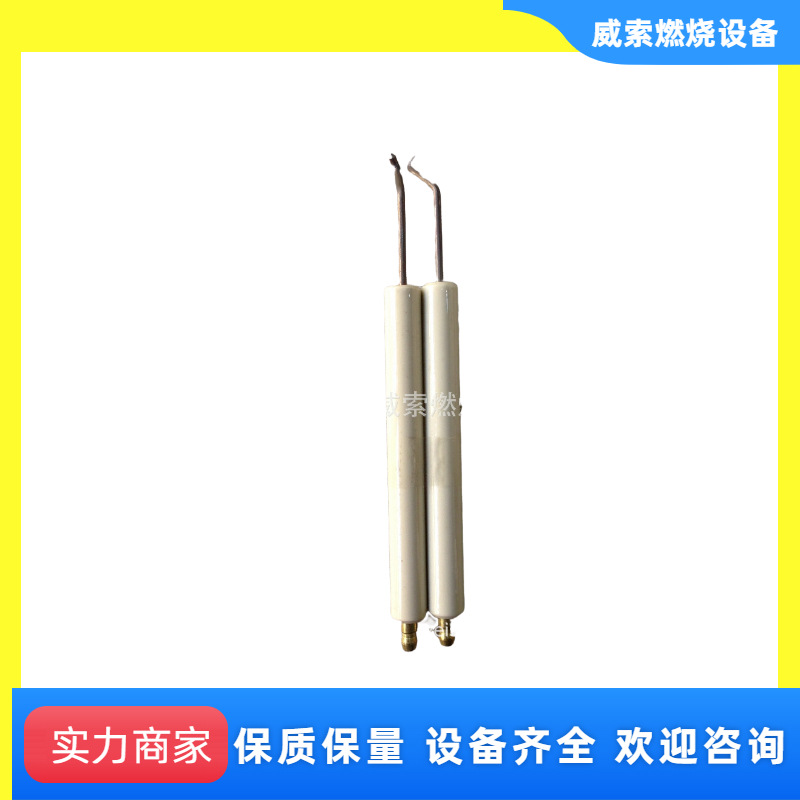 FS20离子棒/意大利利雅路燃气燃烧机配件/RIELLO离子探针