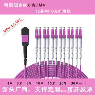Mpo Fiber Optic Jumper Mpt Lc Om4 Om5 Om3 10g Multimode 100g 200g 12-Core 24-Core Fiber Optic