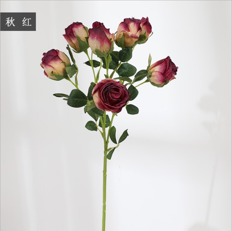 가을 레드