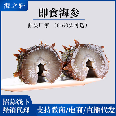 factory goods in stock wholesale On behalf of 500g Open bags precooked and ready to be eaten Dalian Bohai Bay precooked and ready to be eaten sea cucumber Fresh sea cucumber