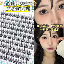 圆眼犬系乖乖狗假睫毛浓密无辜上镜妆日常卷翘分段式三部曲眼睫毛