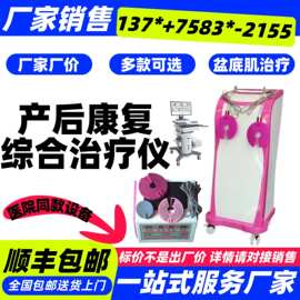 盆底肌肉治疗仪/盆底肌训练器 医用盆底肌训练器 低频产后治疗仪