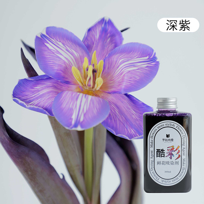 Aponente de color económico (morado oscuro/300ml); variedad de opciones