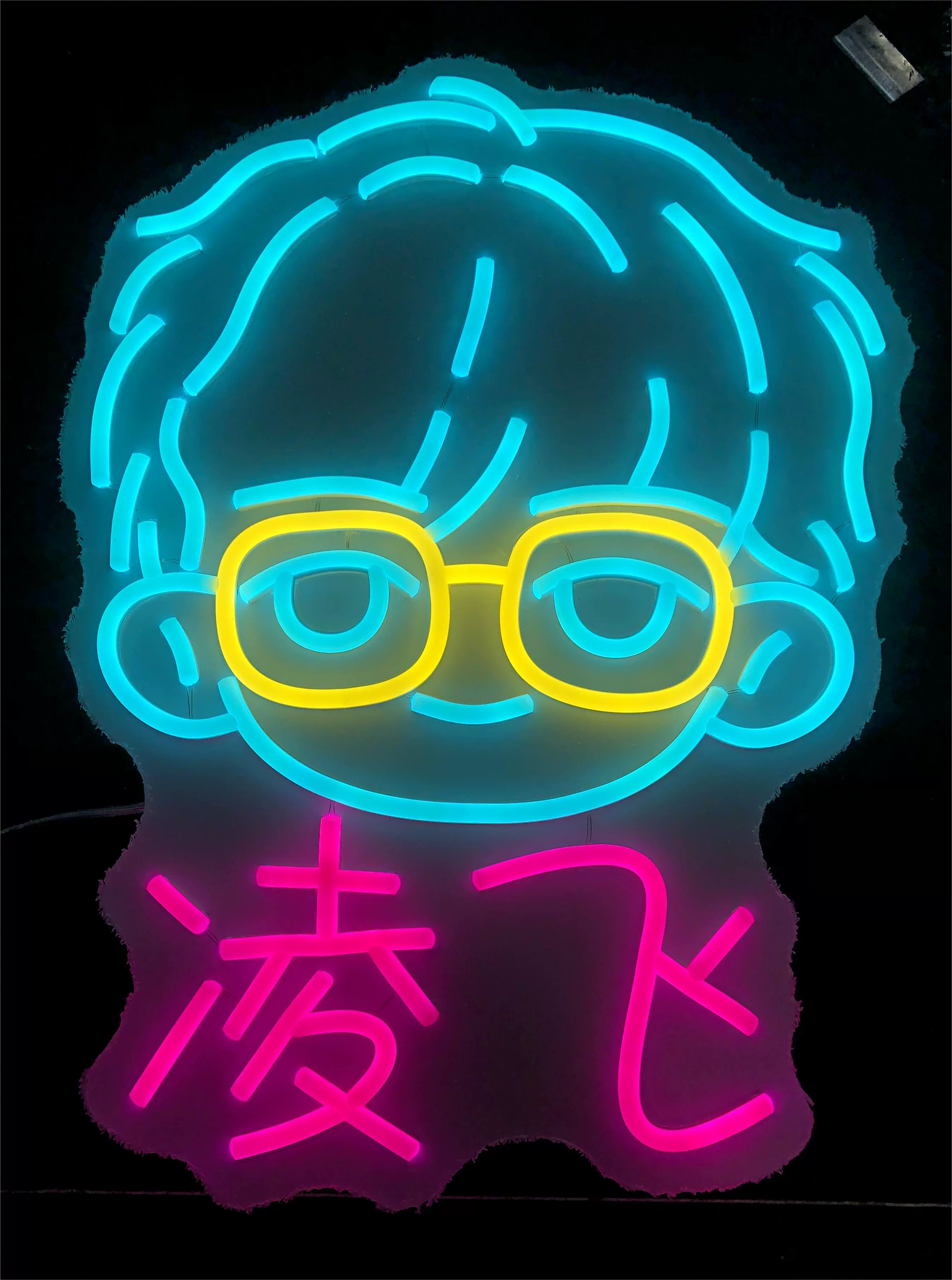 Neon light hand-held fan sign for celebrity concert fans' support light sign ins glowing birthday LED sign