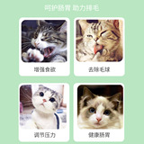 Кошачьи монетные животные кошки могут заполнить игрушку для кошки, кошка, кошачья закуски для домашних животных оптом