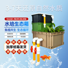 工业风彩色沼泽水培过滤箱上置滴流盒生态水循环鱼缸鱼池过滤器
