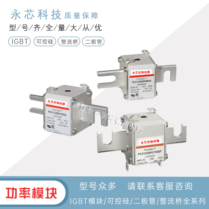 全新现货供应PC31UD69V700TF	X300009原装进口快速熔断器保险丝